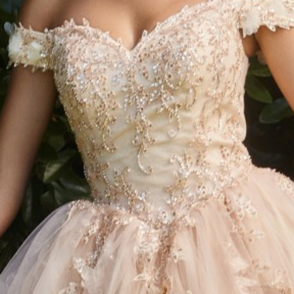 Prom dress - Picture 9 of 12